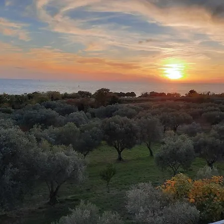 Apartma Coccolo *